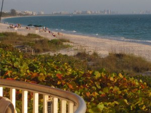 The beautiful Gulf of Mexico extends for miles with the sapphire blue waters, the golden sand, with grass and flower spotted dunes make this a sight to behold.