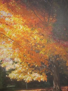 Beautiful Fall Foliage Painted by Laurie Lane